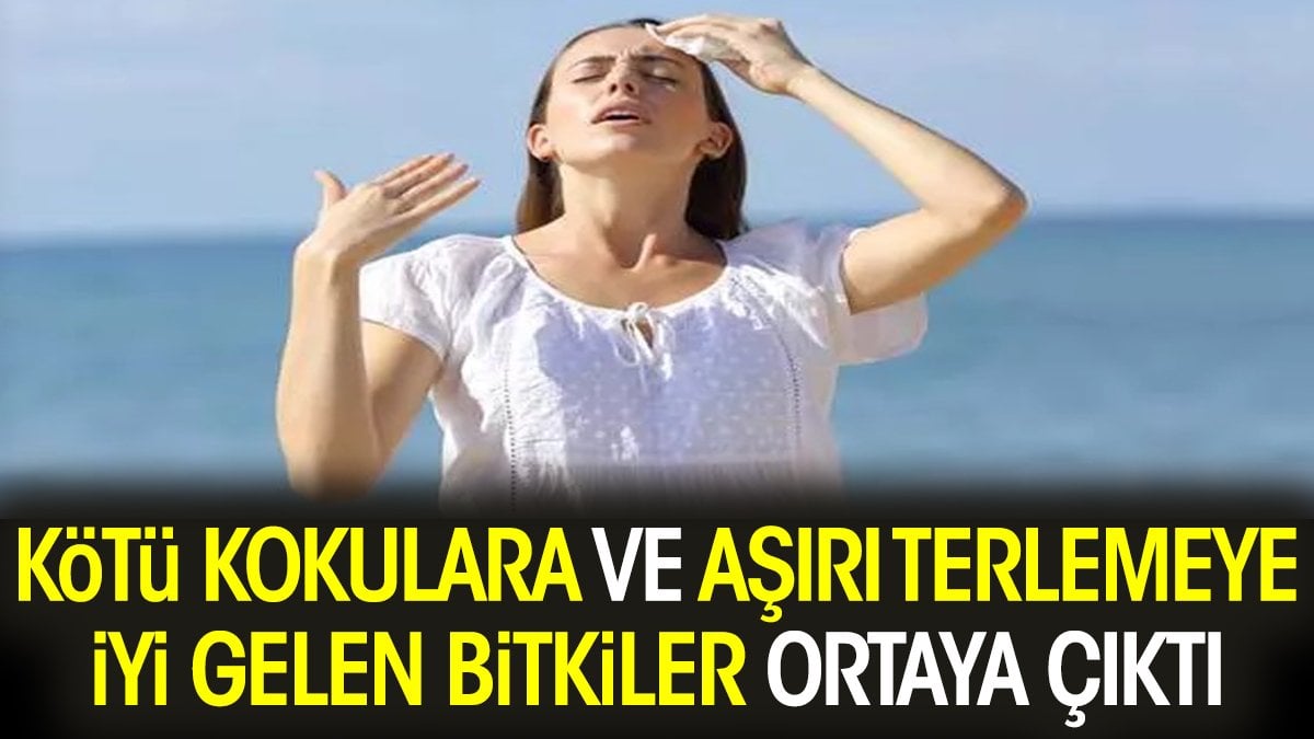 Kötü kokulara ve aşırı terlemeye iyi gelen bitkiler ortaya çıktı