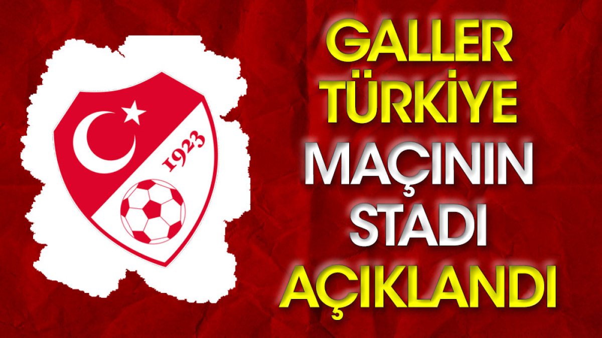 Türkiye Galler maçının stadı açıklandı