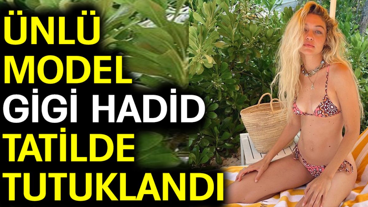 Ünlü model Gigi Hadid tatilde tutuklandı