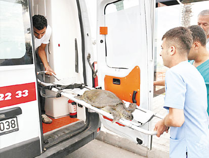 Yaralı carettaya ambulans servisi