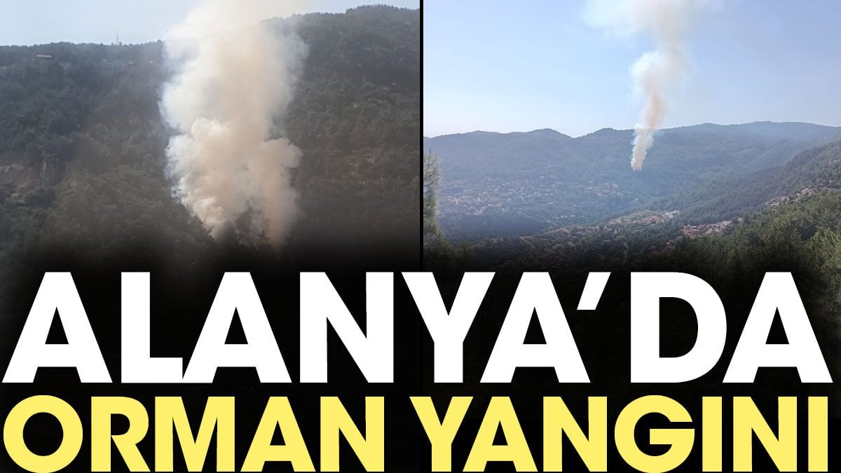 Alanya’da orman yangını