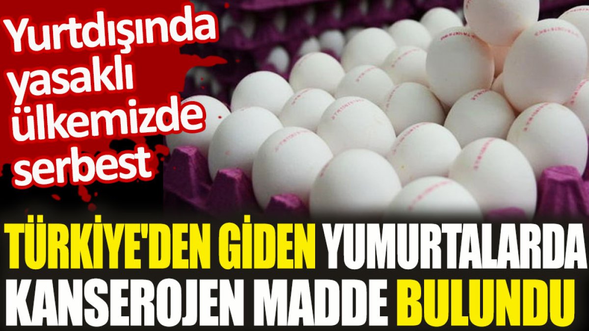Türkiye'den giden yumurtalarda kanserojen madde bulundu