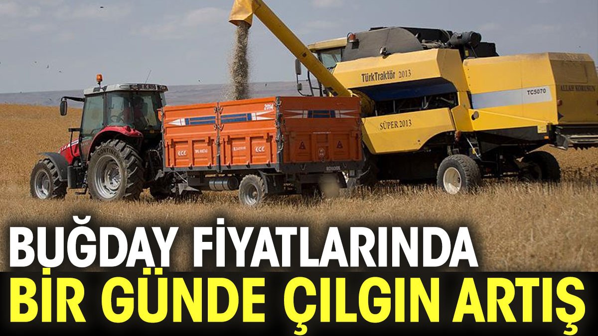 Buğday fiyatlarında bir günde çılgın artış