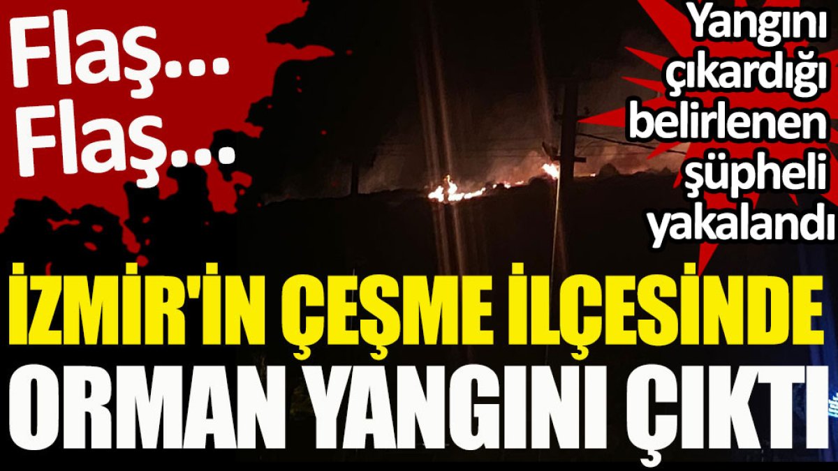 İzmir'in Çeşme ilçesinde orman yangını çıktı