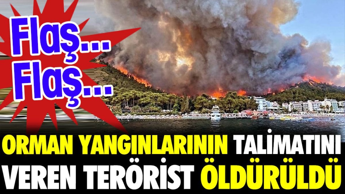 Orman yangınlarının talimatını veren terörist öldürüldü