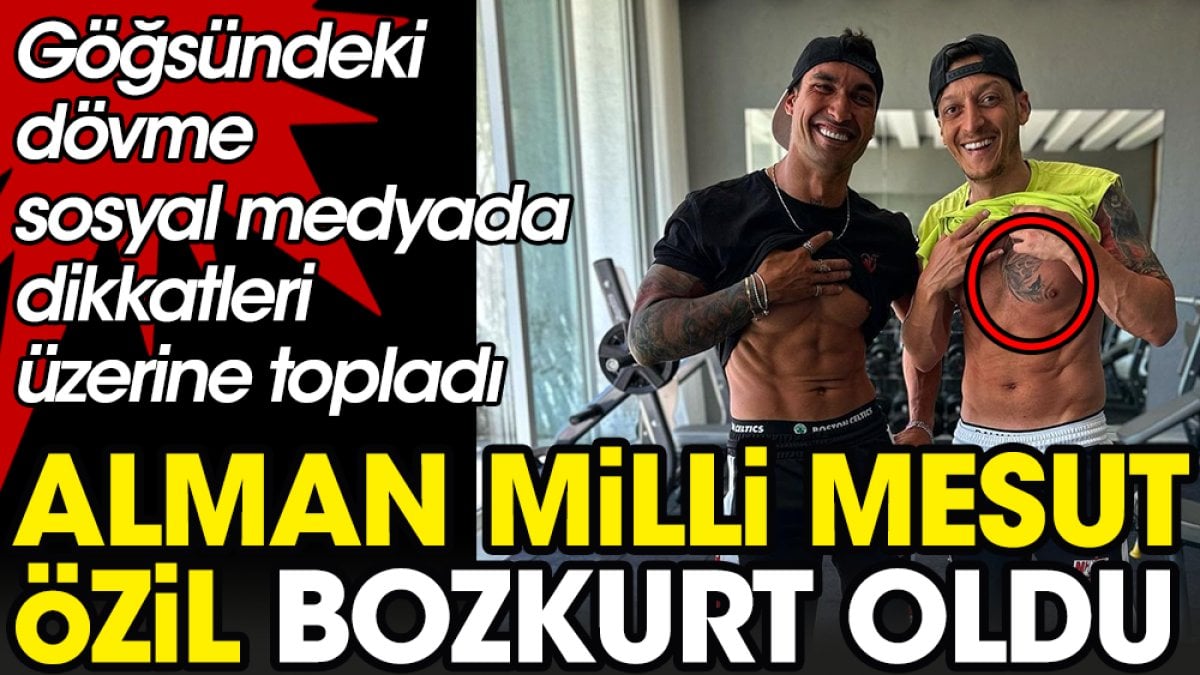 Alman milli Mesut Özil şimdi de bozkurt oldu