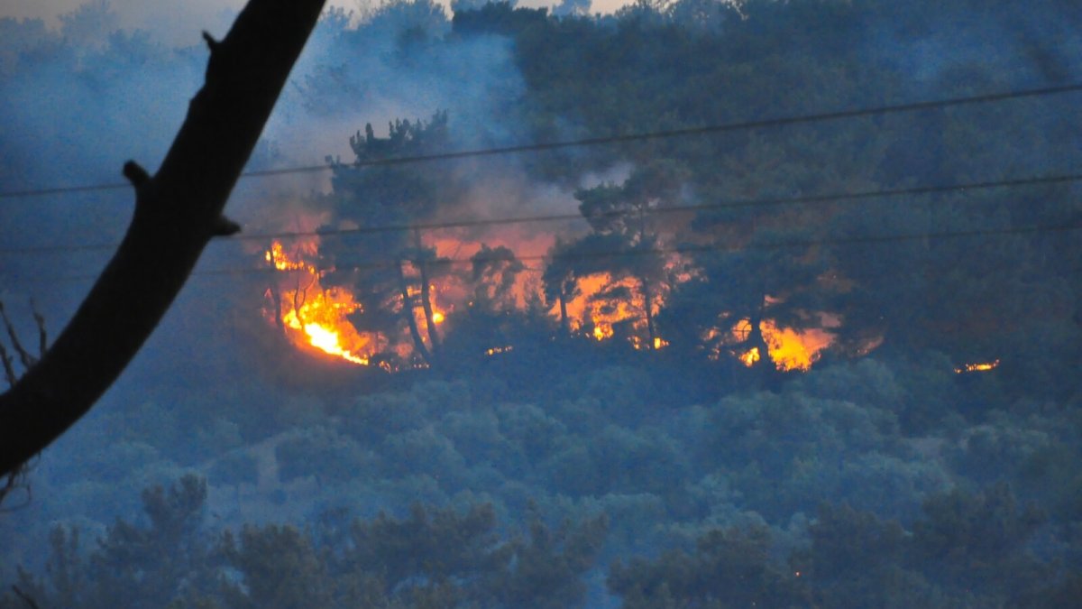 Manisa'da orman yangını büyüyor: 14 ev ve 3 ahır kül oldu