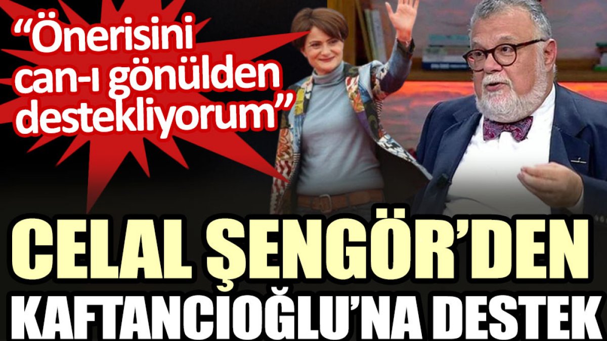 Celal Şengör’den Kaftancıoğlu’na destek: Önerisini can-ı gönülden destekliyorum