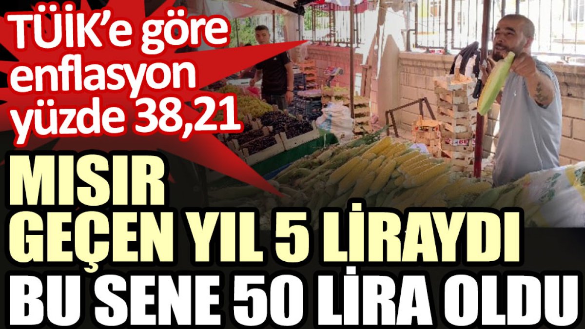 Mısır geçen yıl 5 liraydı bu sene 50 lira oldu. TÜİK’e göre ise enflasyon yüzde 38,21