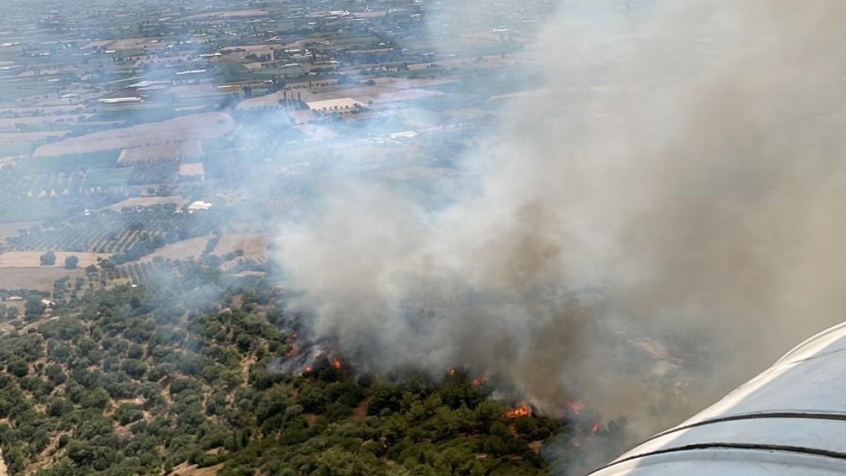 Sıcaklık rekoru kıran İzmir'de iki ilçede orman yangını