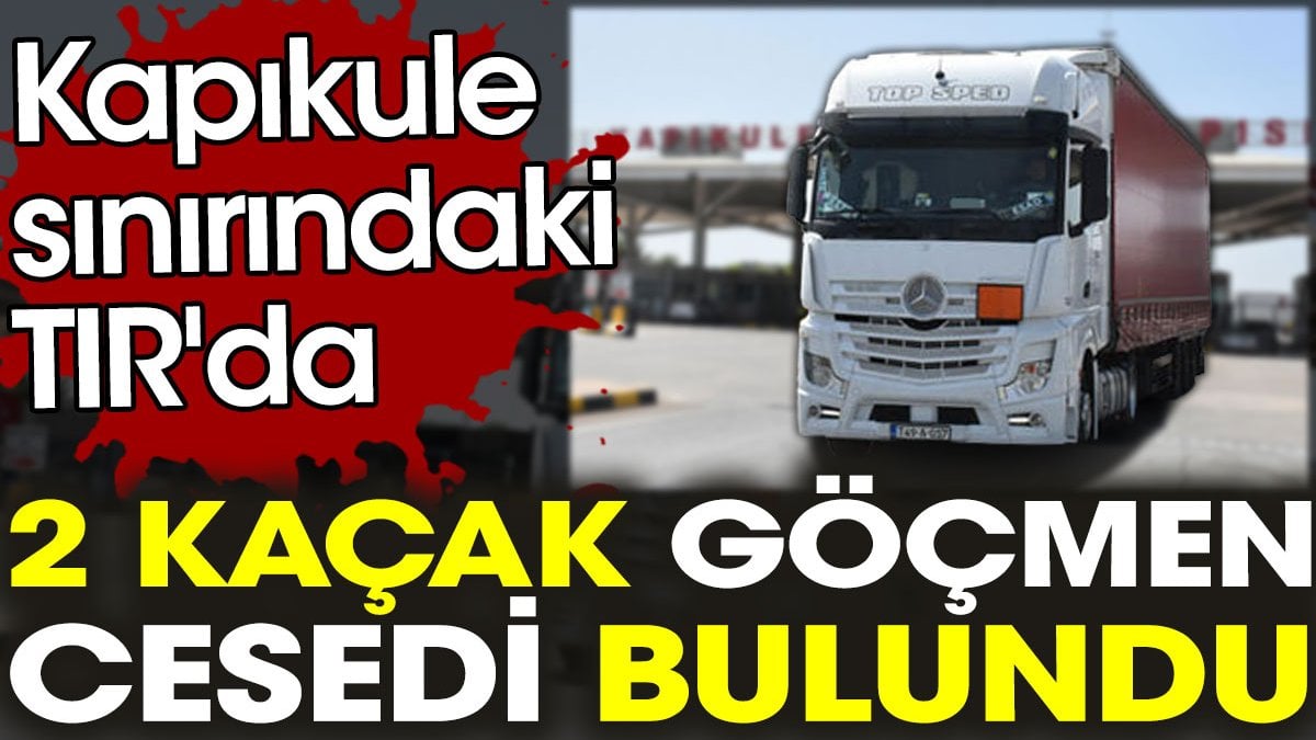 Kapıkule'de TIR'da 2 kaçak göçmen cesedi bulundu