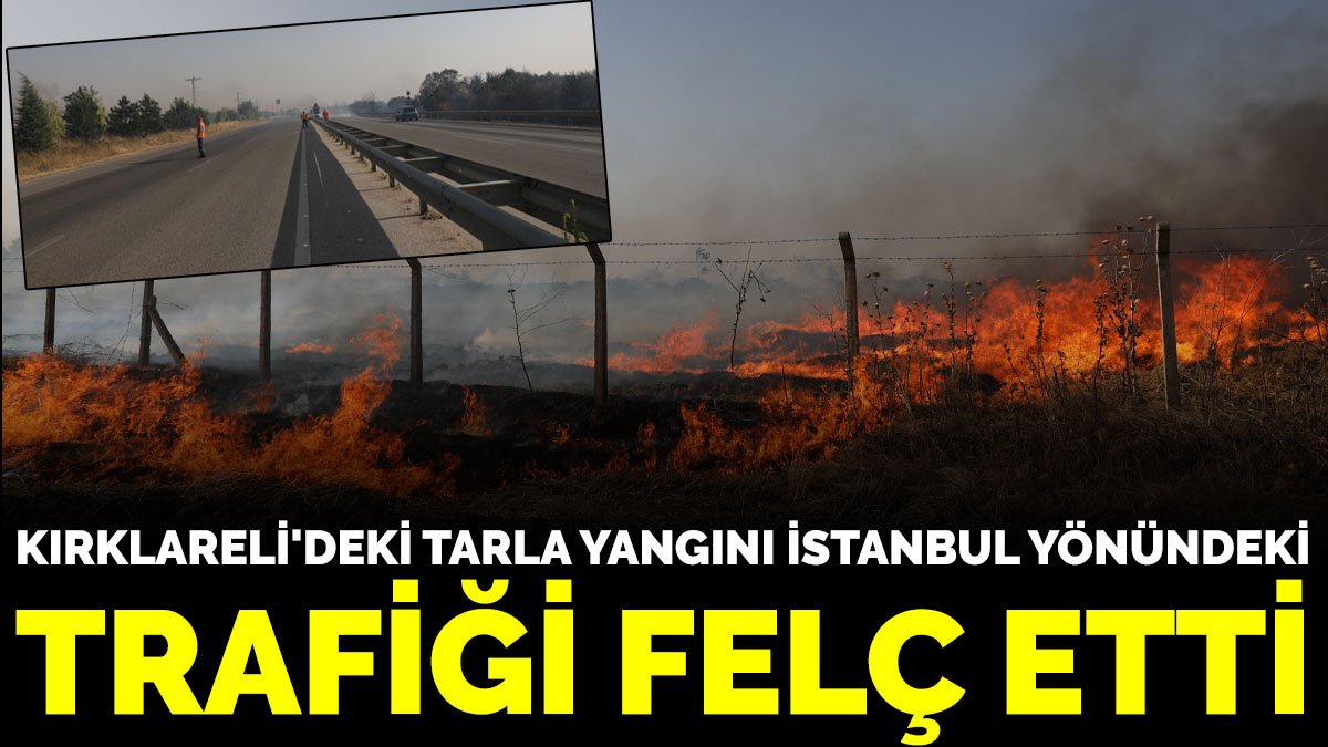 Kırklareli'deki tarla yangını İstanbul yönündeki trafiği felç etti