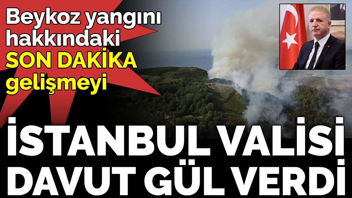 Beykoz yangını hakkındaki son dakika gelişmeyi İstanbul Valisi Davut Gül verdi