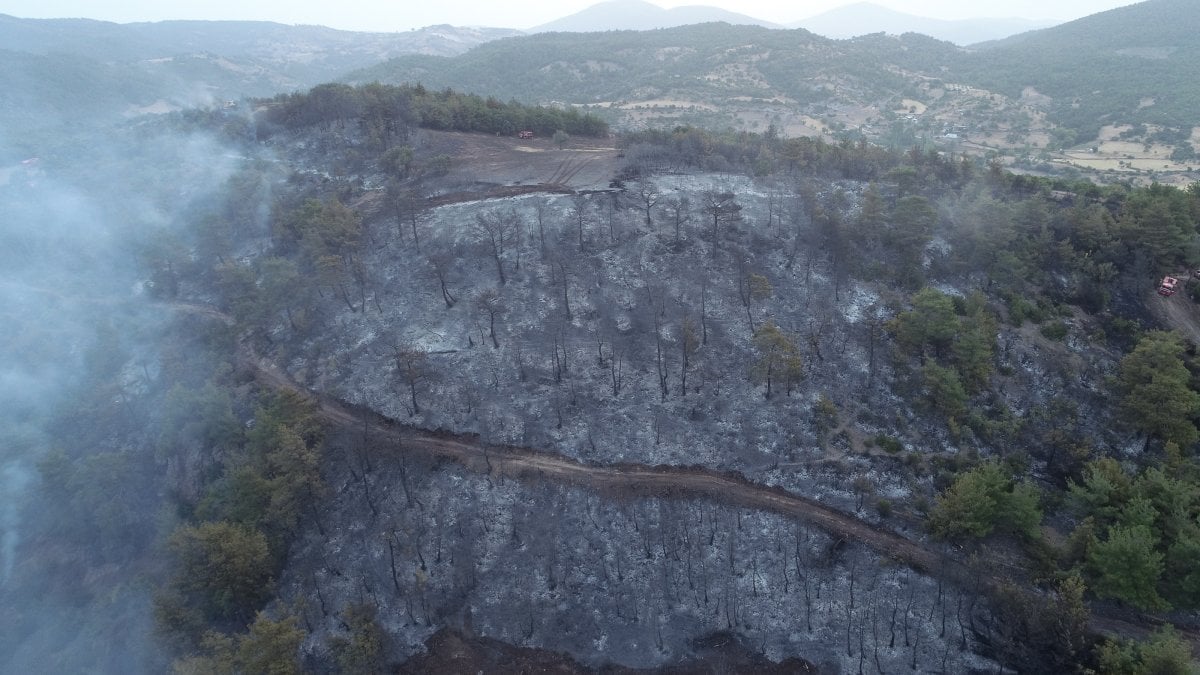 Çanakkale'deki orman yangını saatlerdir devam ediyor