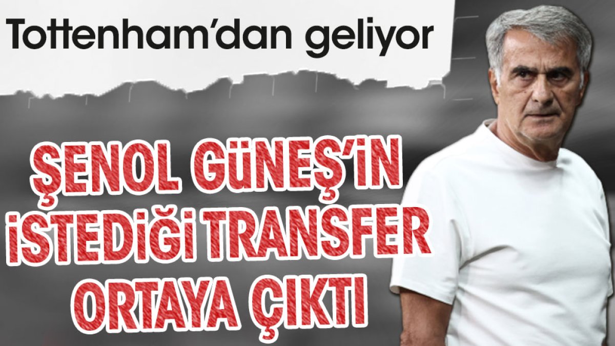 İşte Şenol Güneş'in istediği transfer. Tottenham'dan geliyor