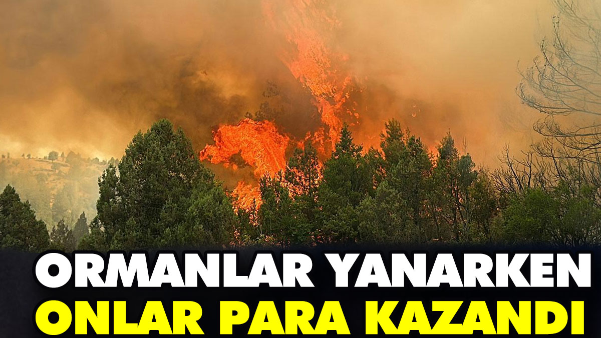 Ormanlar yanarken onlar para kazandı