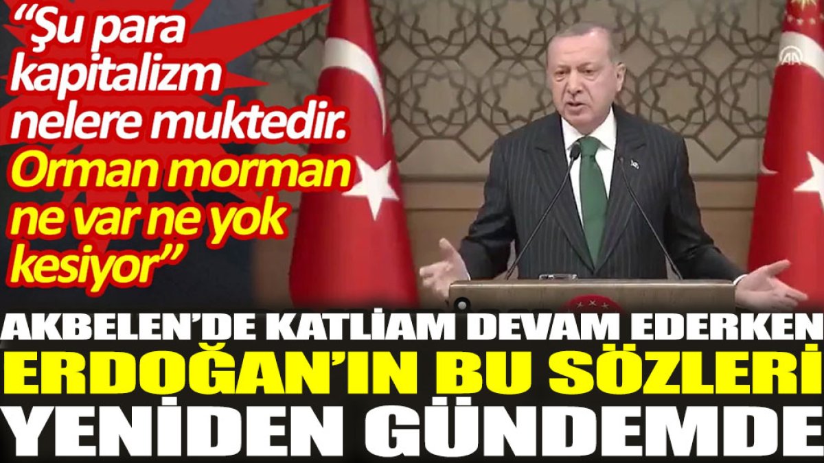 Akbelen’de katliam devam ederken Erdoğan’ın bu sözleri yeniden gündemde