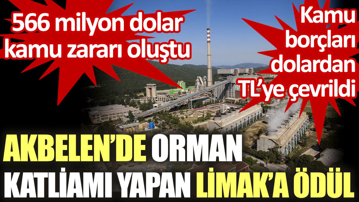 Akbelen’de orman katliamı yapan Limak’a iktidardan ödül. Kamu borçları dolardan TL’ye çevrildi