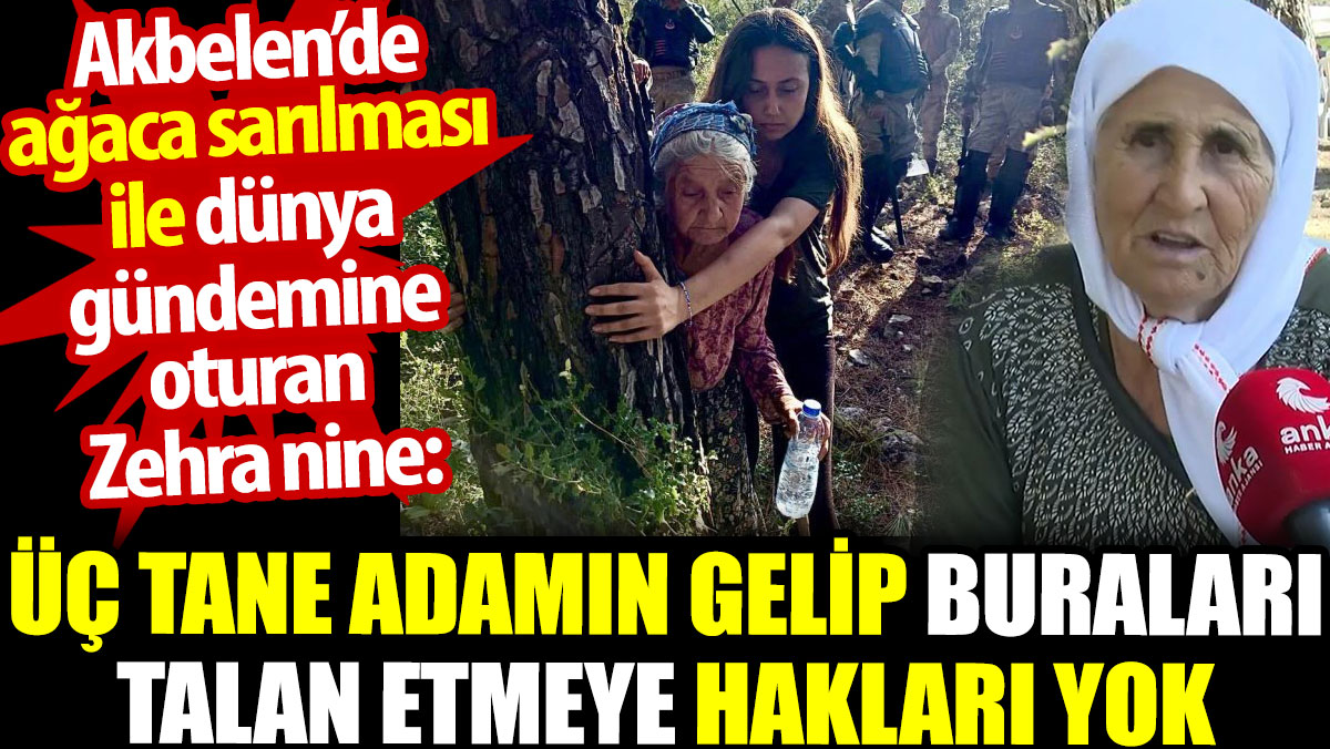 Akbelen’de ağaca sarılan Zehra nine: Üç tane adamın buraları talan etmeye hakları yok