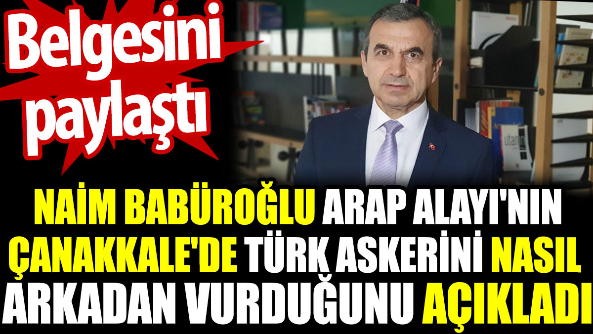 Naim Babüroğlu Arap Alayı'nın Çanakkale'de Türk askerini nasıl arkadan vurduğunu açıkladı