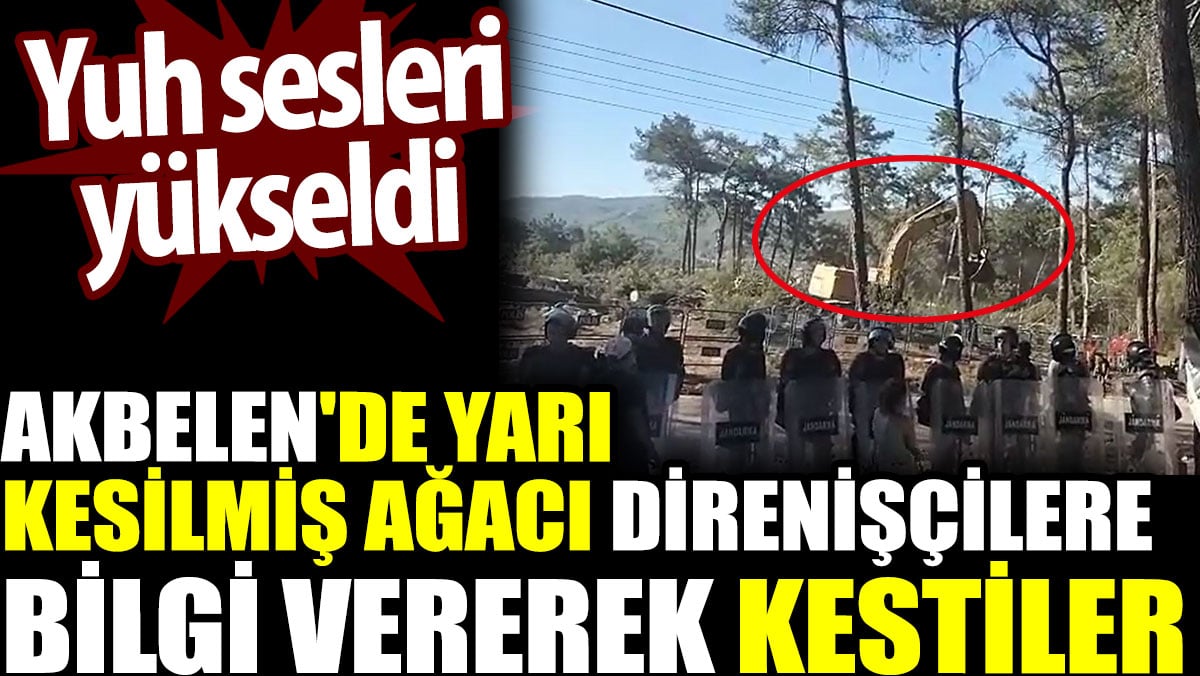 Akbelen'de yarı kesilmiş ağacı direnişçilere bilgi vererek kestiler. Yuh sesleri yükseldi