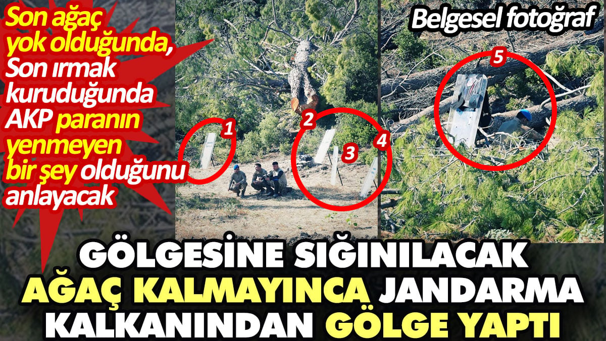 Gölgesine sığınılacak ağaç kalmayınca Jandarma kalkanından gölge yaptı