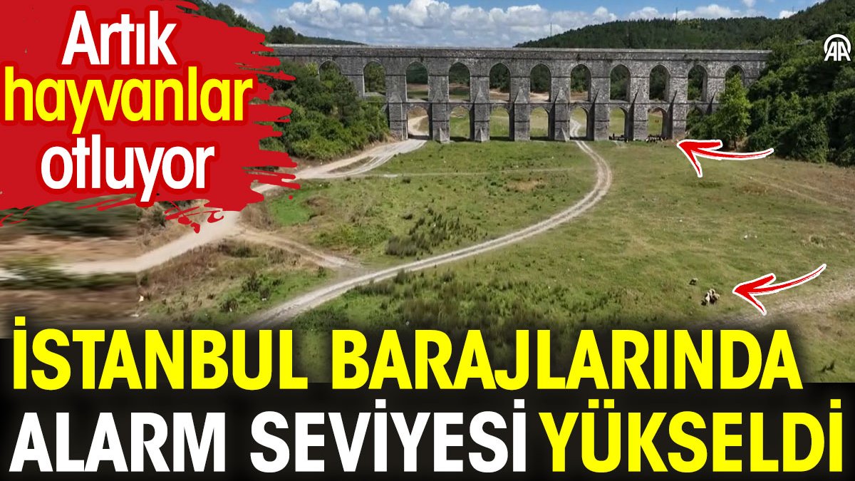 İstanbul barajlarında alarm seviyesi yükseldi