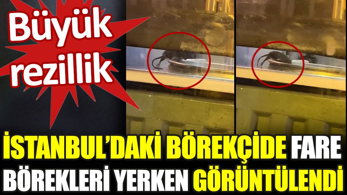 İstanbul'daki börekçide fare börekleri yerken görüntülendi