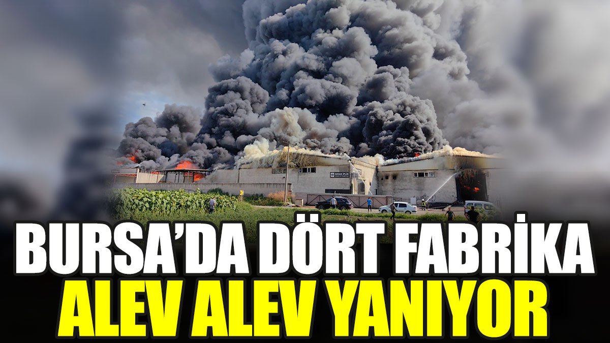 Bursa'da dört fabrika alev alev yanıyor