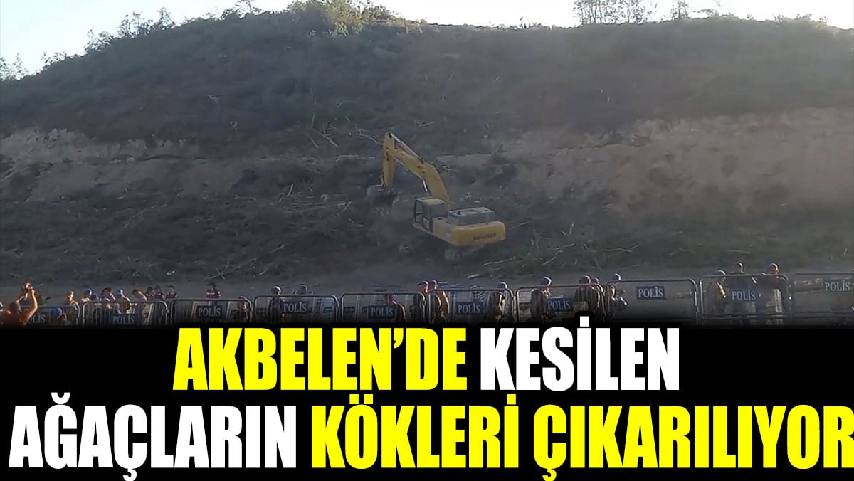 Akbelen’de kesilen ağaçların kökleri çıkarılıyor