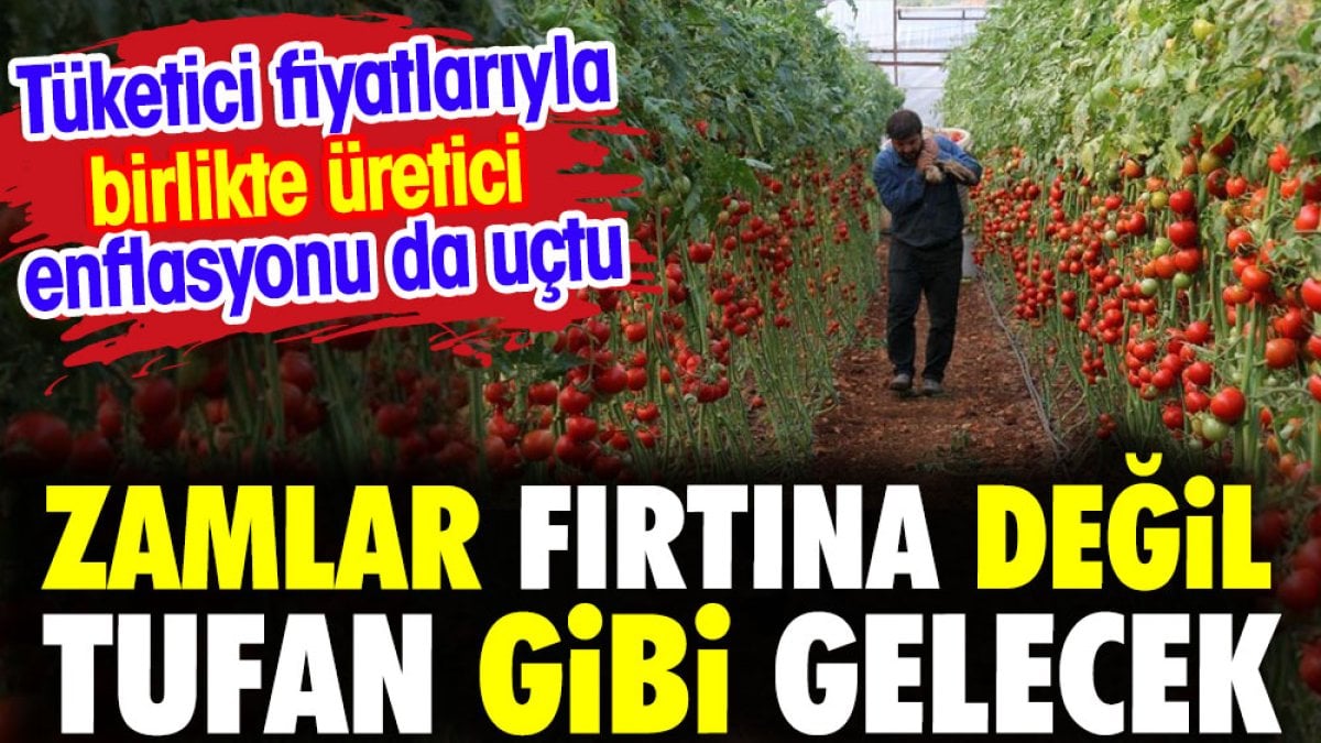 Zamlar fırtına değil tufan gibi gelecek