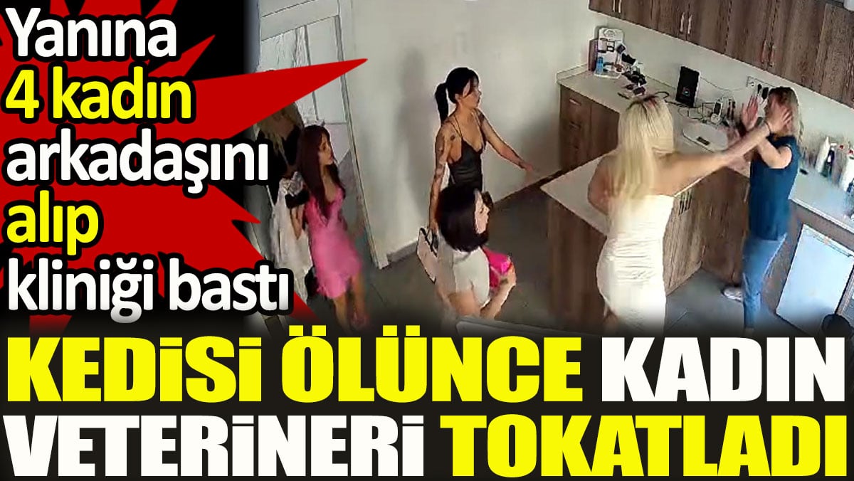 Kedisi ölünce kadın veterineri tokatladı. Yanına 4 kadın arkadaşını alıp kliniği bastı