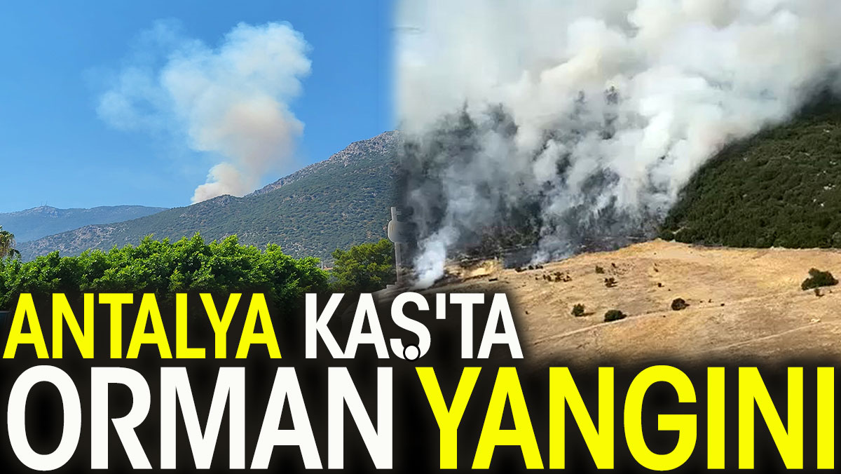Antalya Kaş'ta orman yangını