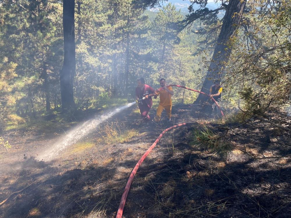 Bolu’daki orman yangını söndürüldü