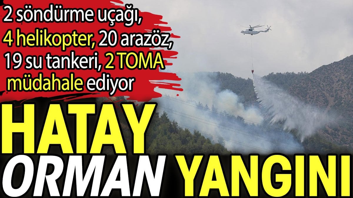 Hatay'da orman yangını