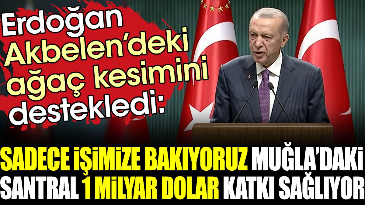 Erdoğan Akbelen'deki ağaç kesimin destekledi