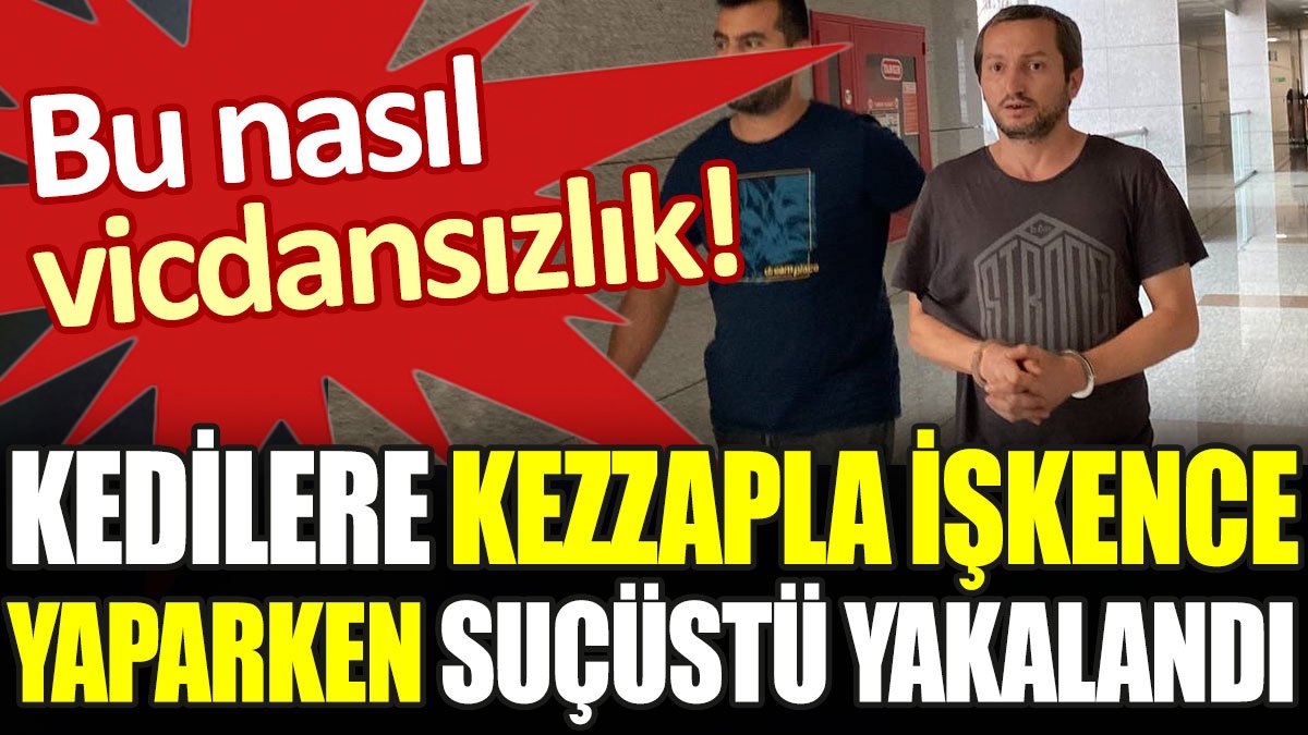 Bu nasıl vicdansızlık. Kedilere kezzapla işkence yaparken suçüstü yakalandı