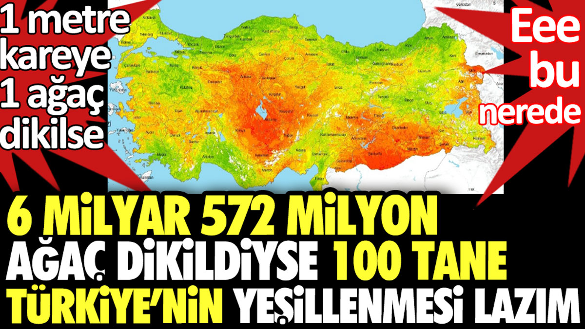 6 milyar 572 milyon ağaç dikildiyse 100 tane Türkiye’nin yeşillenmesi gerekiyor