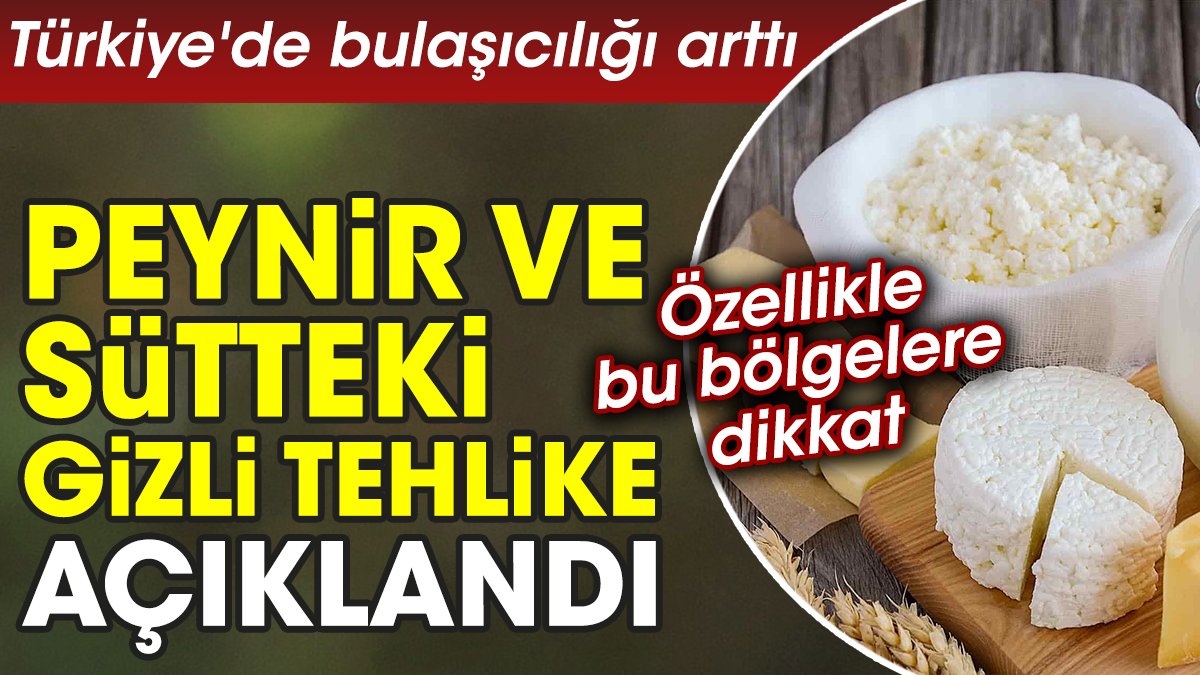 Peynir ve sütteki gizli tehlike açıklandı. Türkiye'de bulaşıcılığı arttı. Özellikle bu bölgelere dikkat