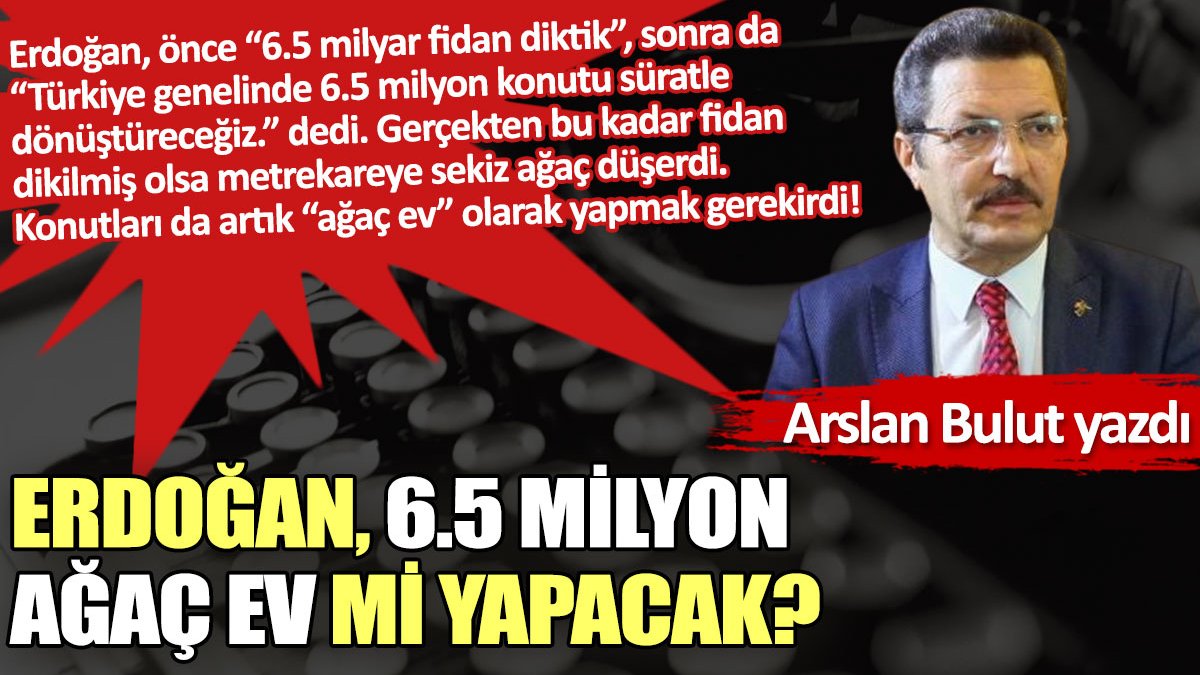Erdoğan, 6.5 milyon ağaç ev mi yapacak?
