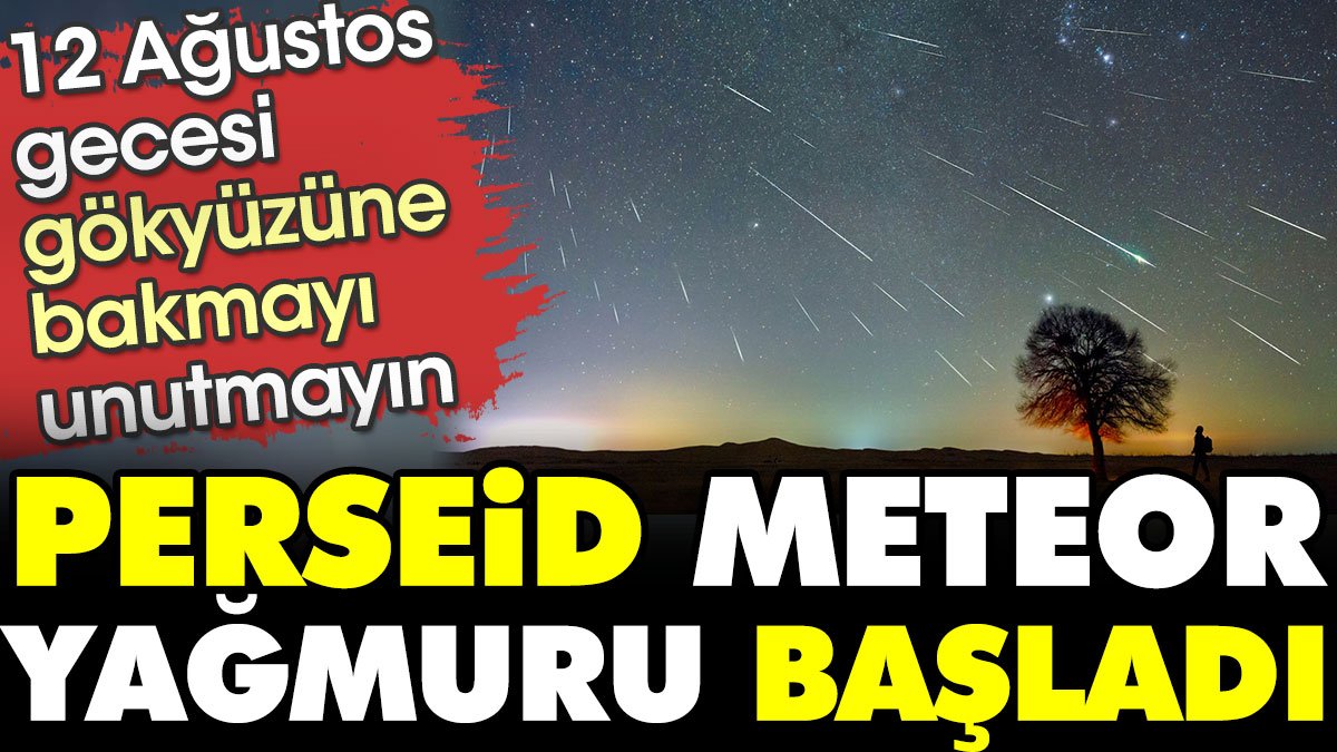 Perseid meteor yağmuru başladı. 12-13 Ağustos tarihinde gökyüzüne bakmayı unutmayın