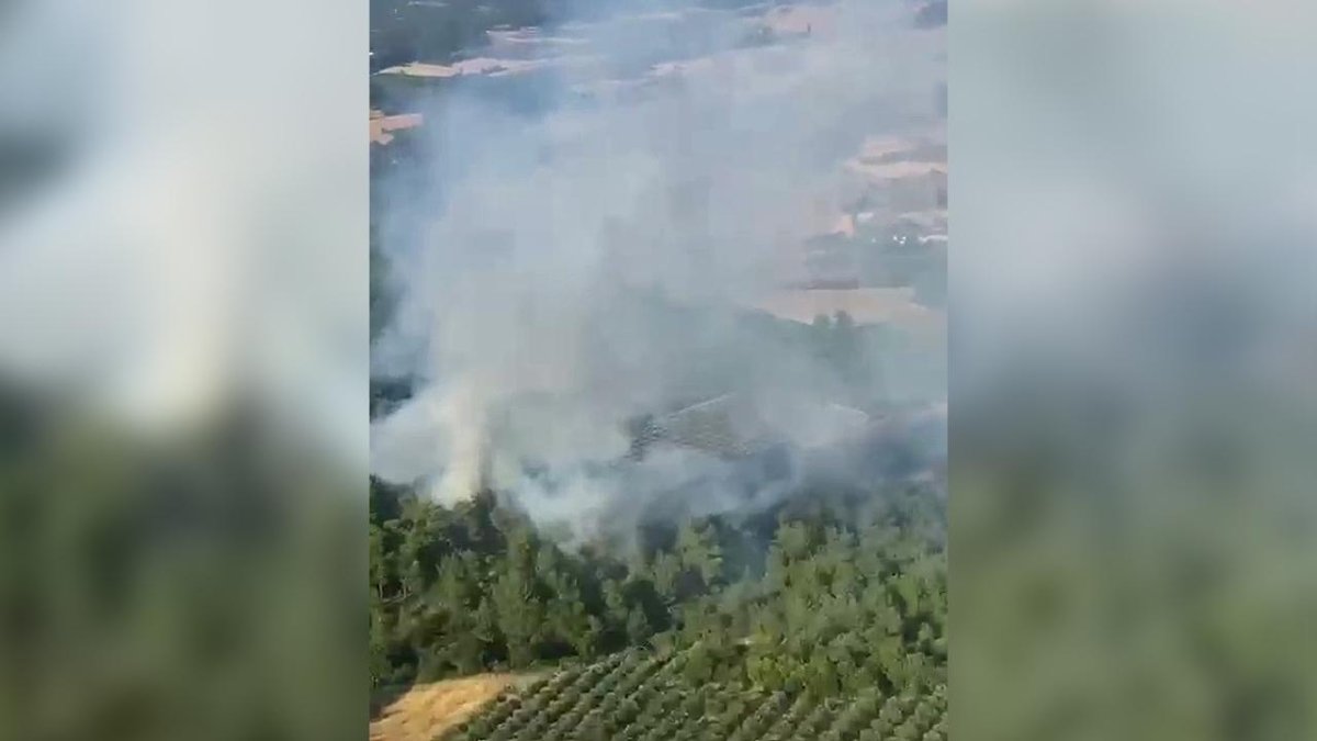 Manisa'daki orman yangınında son durum