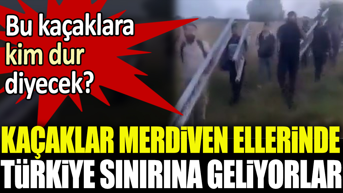 Kaçaklar ellerinde merdivenlerle Türkiye sınırına geliyor