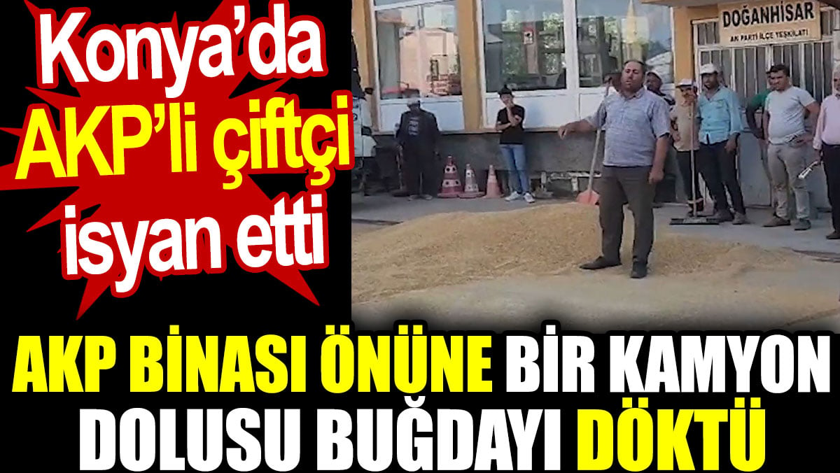 AKP binası önüne bir kamyon dolusu buğdayı döktü. Konya’da AKP’li çiftçi isyan etti