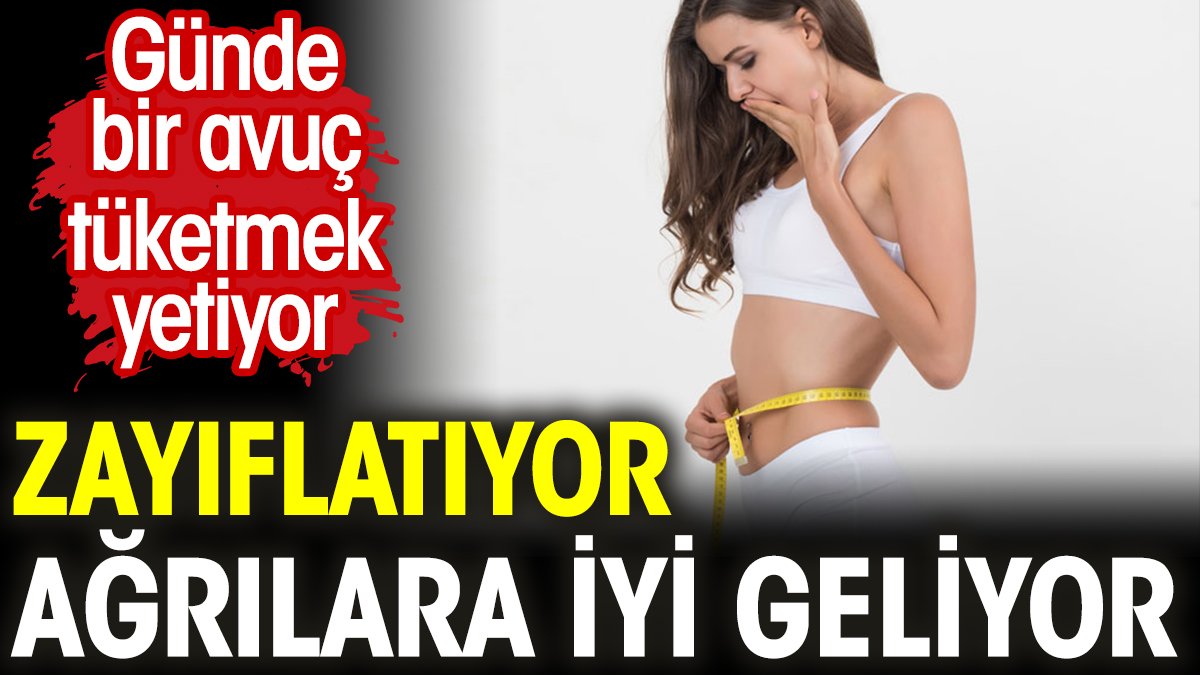 Zayıflatıyor. Ağrılara iyi geliyor. Günde bir avuç tüketmek yetiyor