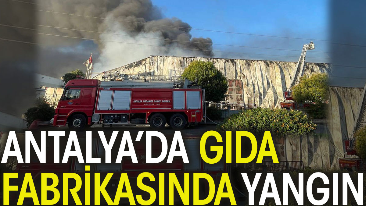 Antalya’da gıda fabrikasında yangın