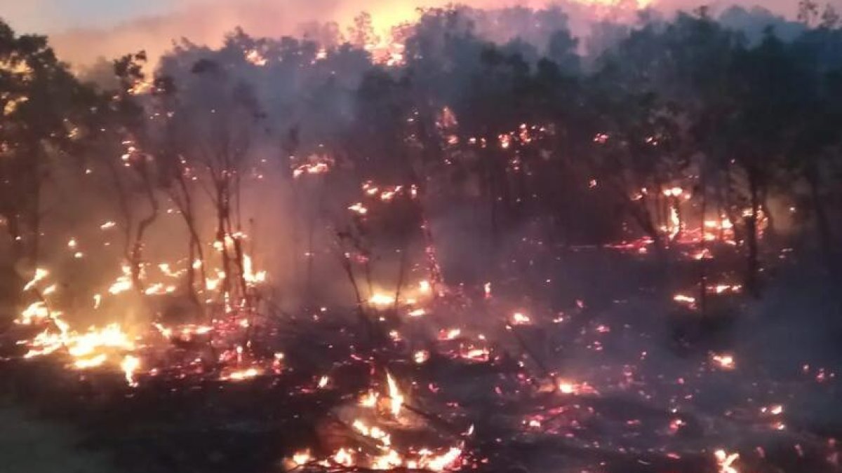 Siirt'teki orman yangını 15 saat sonra kontrol altına alındı