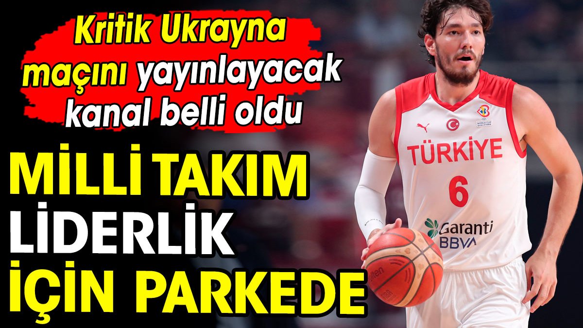 Türkiye Ukrayna maçı şifresiz kanalda