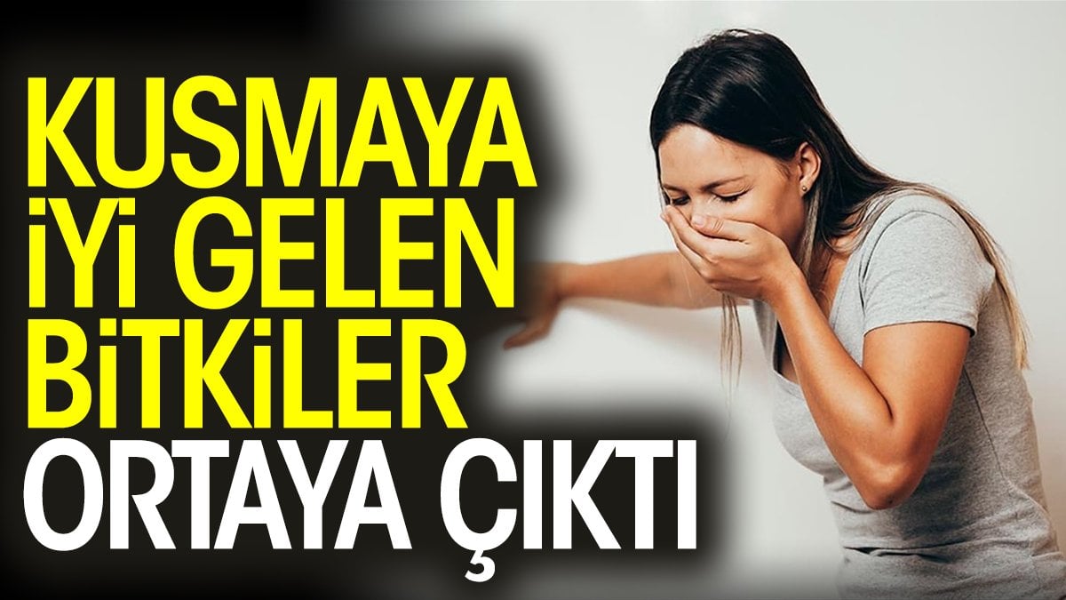 Kusmaya iyi gelen bitkiler ortaya çıktı