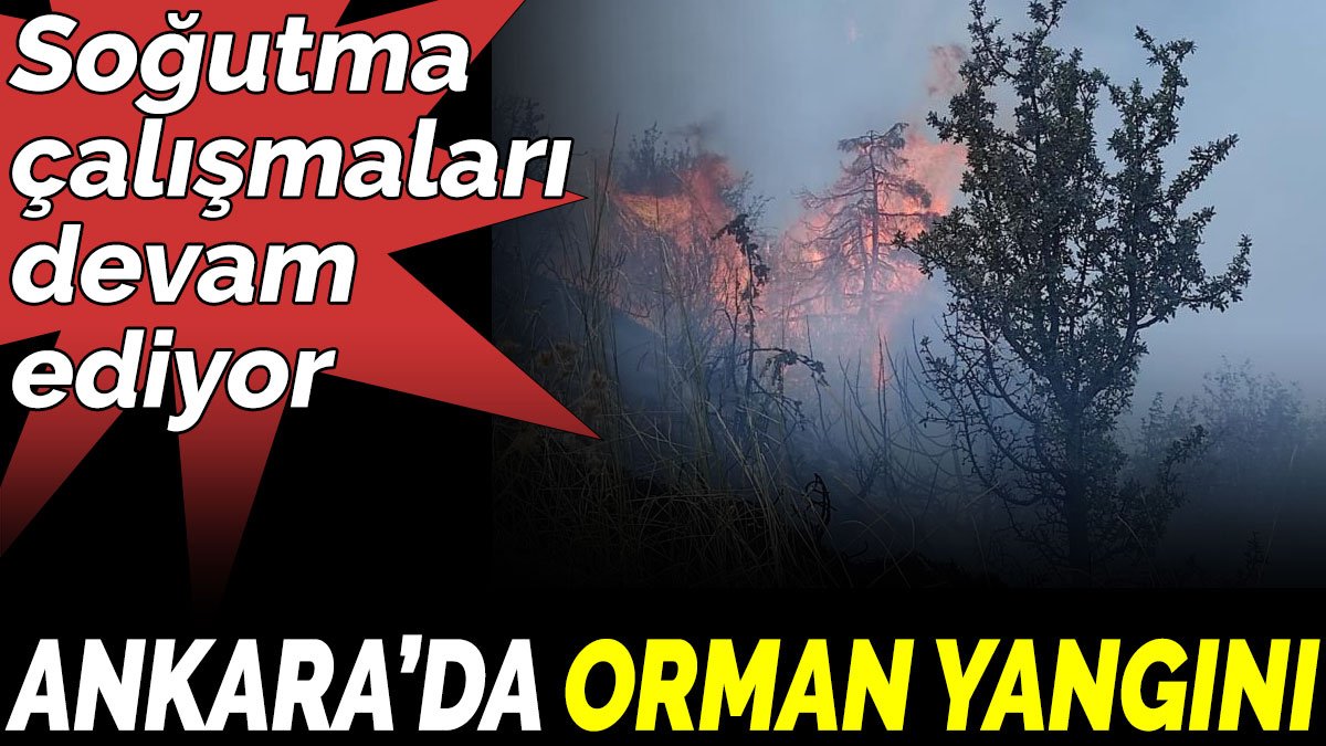 Ankara’da orman yangını. Soğutma çalışmaları devam ediyor